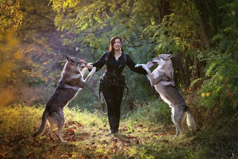 Focení s vlky Brno