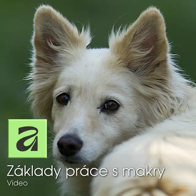 Affinity: Základy práce s makry